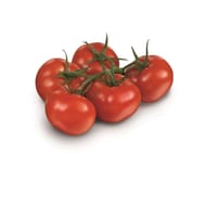 Tomate ronde grappe bio 500g