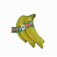 Banane equitable 5 fruits