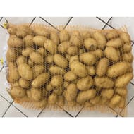 Pomme de terre de consommation