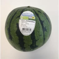 Mini pastèque bio sans pépin