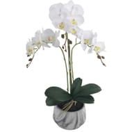 Orchidée artificielle en pot 55cm blanc
