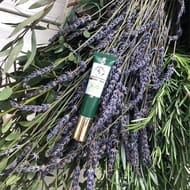 La Provencale bio olive soin yeux jouvence tube 15ml