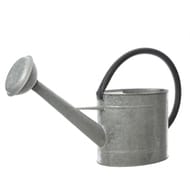 Arrosoir acier galvanise zinc