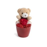 Rose stabilisée dans pot avec ourson