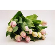 Bouquet de 12 tulipes assortis