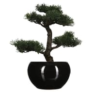 Bonsaï pot céramique h36