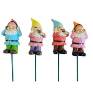 NAIN DE JARDIN SUR PIC musicien