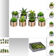 Assortiments plante h13