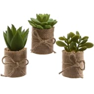 Plante artificielle succulente 5x5x12cm