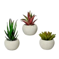 Succulente plastique assortiment