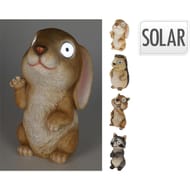 Animal solaire assortiment