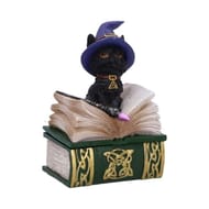 Figurine de collection binx et boîte à sortilèges 11cm