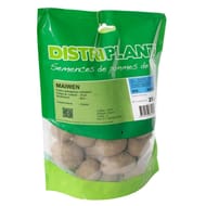 Pomme de terre maiwen 28/35 verbag 25 plants