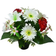 Oeillet gerbera lys artifciels en pot (rouge-crème)