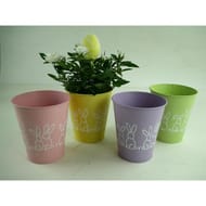 Rosier dans son seau en zinc de Pâques