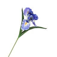 Iris artificiel (bleu)