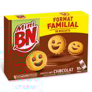 BN mini chocolat 10 pochons format familial 350g