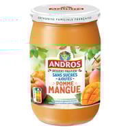 Andros pomme mangue sans sucres ajoutés 650g