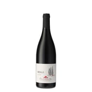 Brouilly la Pente Domaine du Père Lathuilière 12.5% Vol. 75 cl