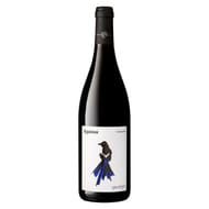 IGP Pays D'Oc Agassa vin rouge 13.5% Vol. 75 cl