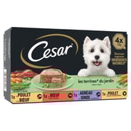 Cesar pâtée pour chien 4 variétés en terrine 4x150g