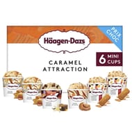 Haagen-dazs 8 mini pots caramel attraction 570ml 483g