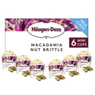 Haagen-dazs 6 mini pots macadamia nut brittle 570ml 486g