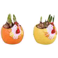 Narcisse en céramique poule
