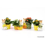 Succulentes en céramique lapin