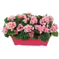 Géranium artificiel x3 en jardinière rose foncé