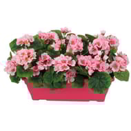 Géranium artificiel x3 en jardinière rouge
