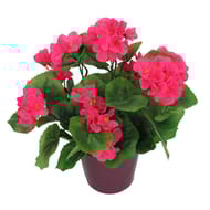Géranium artificiel en pot rose clair