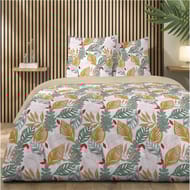 Parure housse de couette 240x220cm + 2 taies 63x63cm ilot