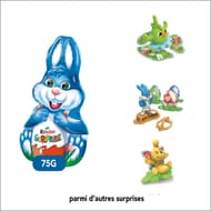 Kinder surprise moulage lapin x1-75g