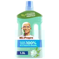 Mr propre dilué fraicheur du matin 1.3l
