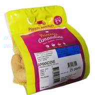 Pomme de terre amandine 25/30 clipack de 25 plants