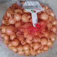 Oignon stuttgarter 14/21 500 gr