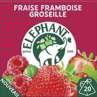 Elephant infusion fraise framboise groseille touche de menthe x20 - 40g