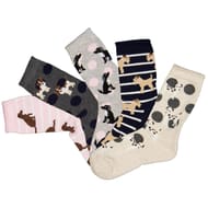5 paires de mi chaussettes fantaisies semi bouclette enfant IX BASIC CHIENS 36\40