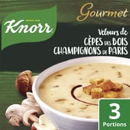 Knorr moment gourmets velours de cêpes des bois sachet 91g