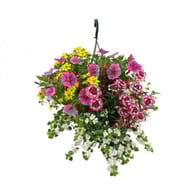 Mélange anglais suspension 23 cm