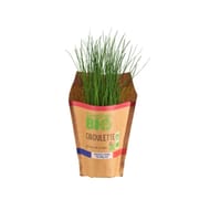 CIBOULETTE BIO EN POT CARREFOUR BIO