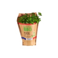 PERSIL PLAT BIO EN POT CARREFOUR BIO
