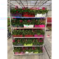 JARDINIERE DECO COULEUR