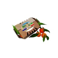 CLEMENTINE CORSE BIO BARQUETTE 500G CARREFOUR BIO