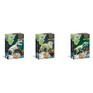 Assortiment archéo ludic
