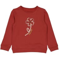 Sweat shirt fille TERRE 12 ANS