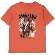 Tee shirt manches courtes garçon SAFRAN 12 ANS