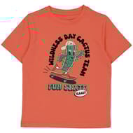 Tee shirt manches courtes garçon SAFRAN 10 ANS