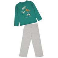 Pyjama long manches longues jersey garçon VERT / GRIS CHINE 6 ANS